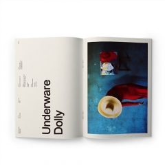Saddle stitch binding booklet brochure printing service all custom fast shipping